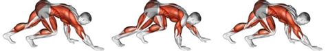 Total Body Strength: Master the Bear Crawl for Full-Body Fitness – Fitness Volt