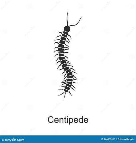 Centipede Vector Illustration In Cartoon Style On A White Background