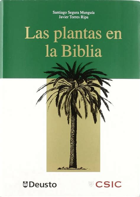 Plantas En La Biblia Simbolismo Y Significado Espiritual Iglesia Del