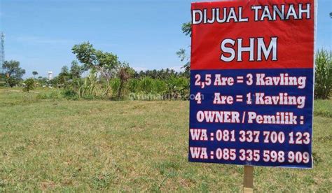 Jual Tanah Shm Di Pemenang Timur Harga Terbaru