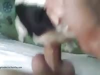 Man Fuck Cat Pussy