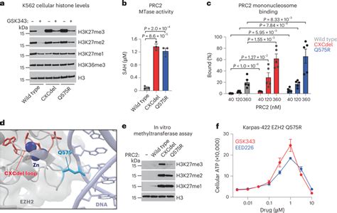 Ezh2 Cxc Mutants Allosterically Activate Prc2 Methyltransferase