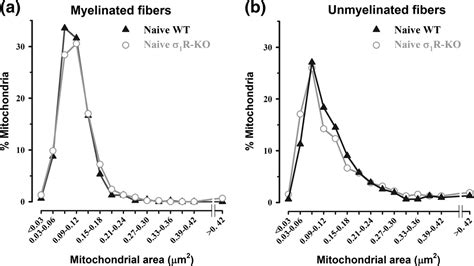 Genetic Inactivation And Pharmacological Blockade Of Sigma Receptors