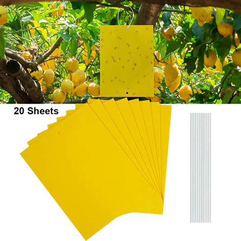 20 Pack Yellow Sticky Gnat Traps Killer Dual Sided For Indooroutdoor