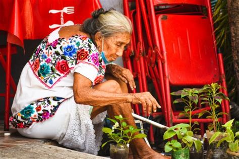 Disminuyeron 5 9 hablantes de lengua maya en la última década 24 Horas