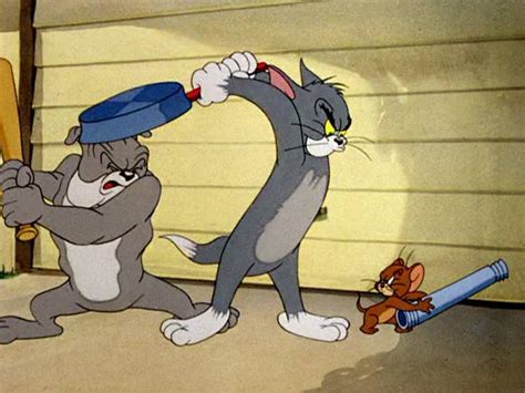 Tom and Jerry Dog Cat Mouse fight | Cartoni animati, Infanzia, Disegni