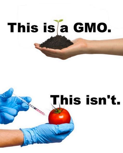 So What Is A Gmo Genetic Literacy Project