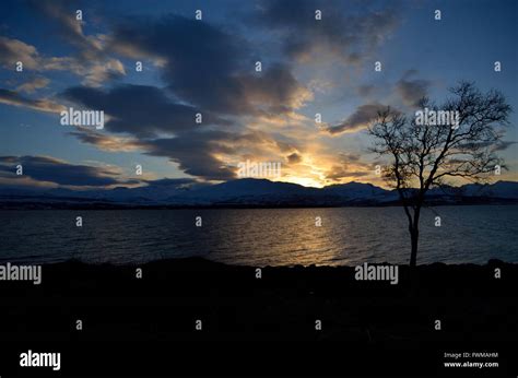 Sunset Over Snowy Mountain And Fjord Landscape With Tree In Front Stock