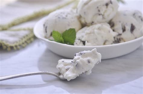 Mint Chocolate Chip Gelato Leigh Anne Wilkes Fresh Mint Gelato