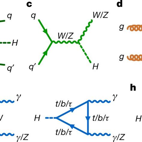 Examples Of Feynman Diagrams For Higgs Boson Production And Decay Ae