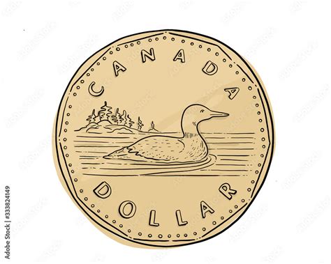 Loonie Stock Illustration | Adobe Stock