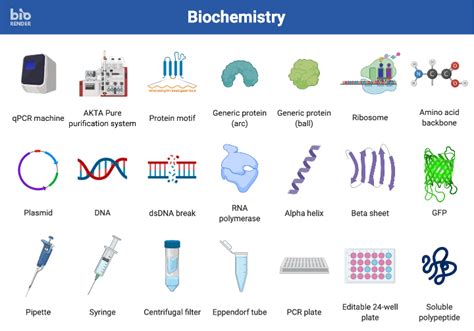 Biorender Templates