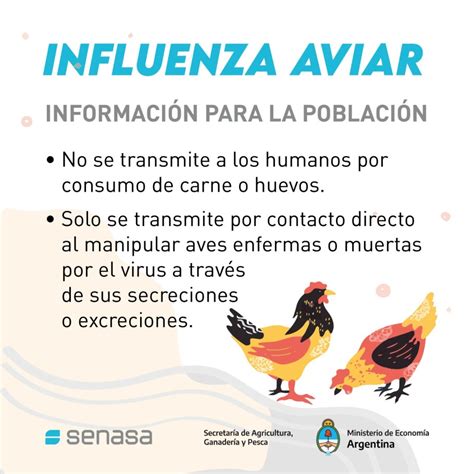 Gripe Aviar Presentaci N De Las Acciones Realizadas Para Su Prevenci N