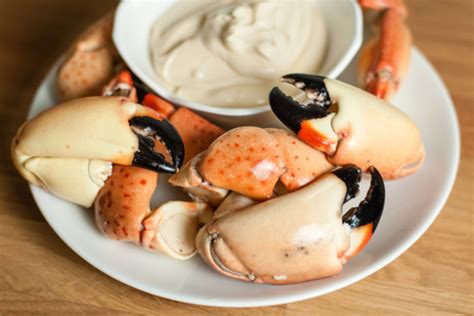 Joes Stone Crab Miami Mustard Sauce Recipe