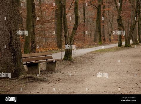 A Horizontal Image Along A Walking Biking Path Along The River A Bench