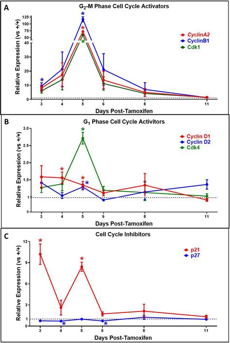 QPCR Determinations Showing Activation Of Genes That Regulate