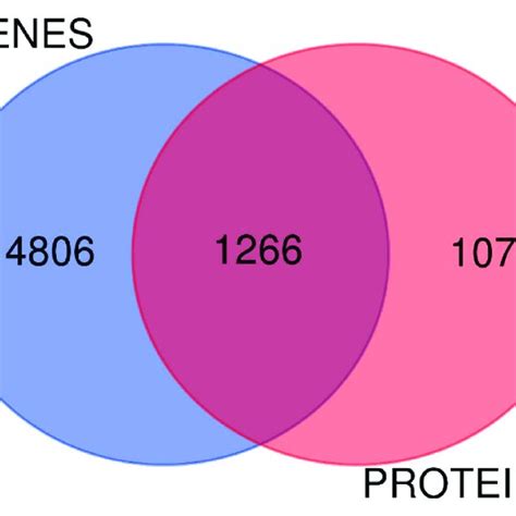 Venn Diagram Representing The Set Of Identified Proteins And The Coding Download Scientific