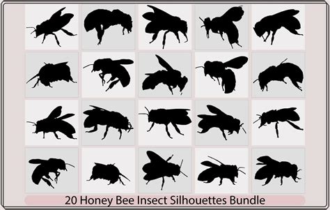 silhouette honey bee 22693539 Vector Art at Vecteezy