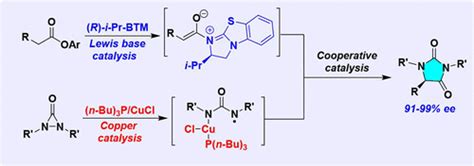 Lewis Base Copper Cooperatively Catalyzed Asymmetric Amination Of