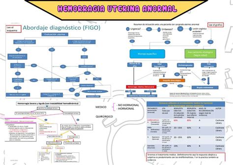 Hemorragia Uterina Anormal J Diego P Vásquez uDocz