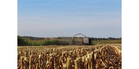 Rock River Lab Releases New Corn Harvest Tool Morning Ag Clips