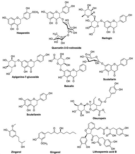 Chemical Structure Of Fl Avonoids Hesperetin Quercetin Download Scientific Diagram