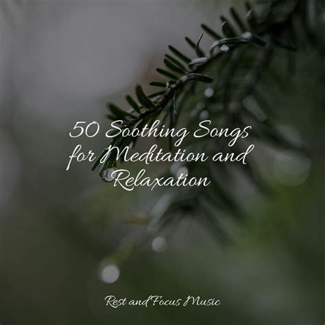 50 Soothing Songs For Meditation And Relaxation Album By Shakuhachi