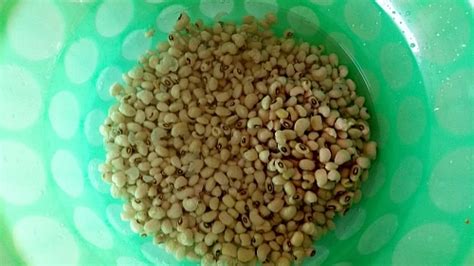 Ewa Agoyin: How to Cook Ewa Agoyin Beans (Mashed Beans Recipe) - Jotscroll