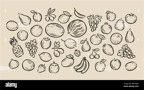 Many Hand Drawn Fruits Food Sketch Vector Illustration Stock Vector