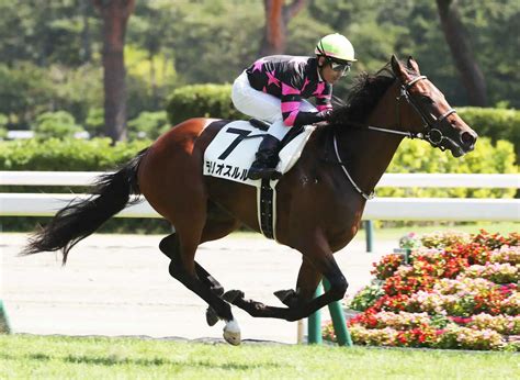 ＜新潟5r・新馬戦＞お見事逃げ切りのテリオスルル（撮影・村上 大輔） ― スポニチ Sponichi Annex ギャンブル