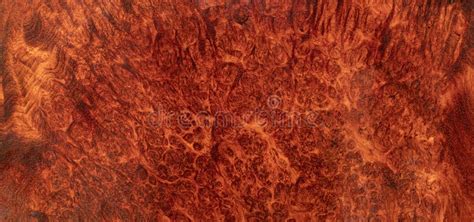 Natural Afzelia Burl Wood Stock Image Image Of Background 323834399