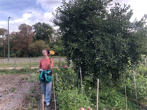 Wecandoo Découvrez une ferme florale parisienne et composez votre bouquet