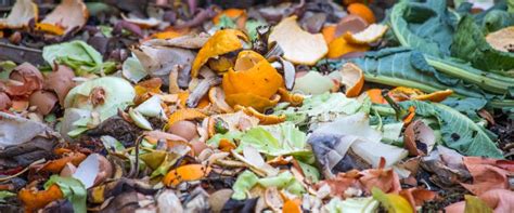 view  biodegradable waste   garbage stock photo image