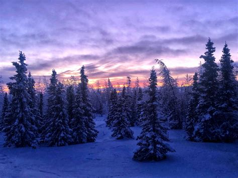 Frosty forest outside Kuujjuaq | Nunatsiaq News