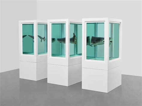 Damien Hirst The Weight Of Things Muca