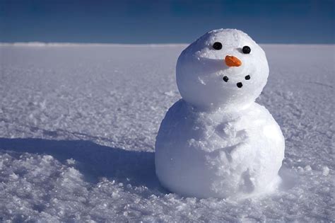 Bonhomme De Neige Souriant En Hiver Portant Un Chapeau Et Une Charpe