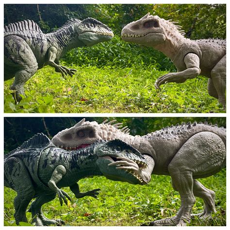 Velociraptor vs Tsintaosaurus : DinoToys