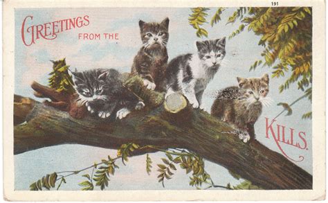 View from the Birdhouse: Vintage Cat Postcards are the Cat's Meow