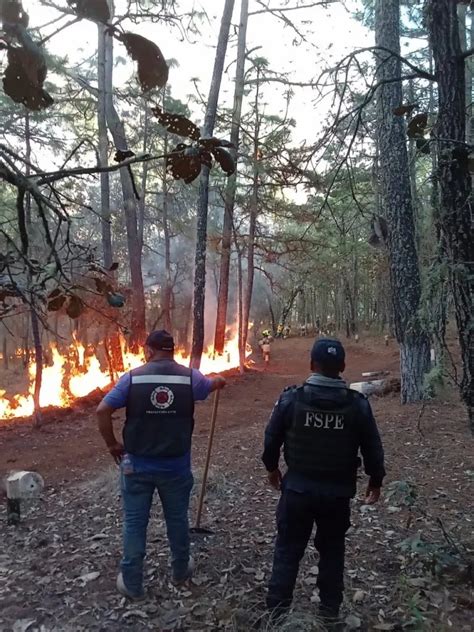 Sigue Combate De Incendio En La Sierra Gorda Politik