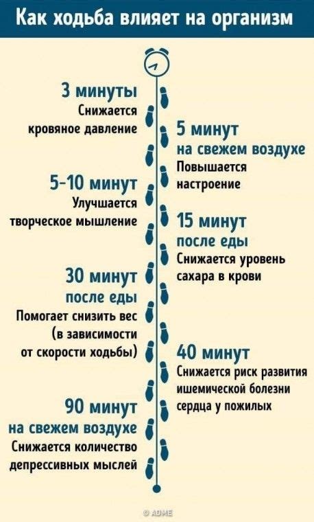 В чем польза обычной ходьбы | Советы для фитнеса, Ходьба, Случайные факты