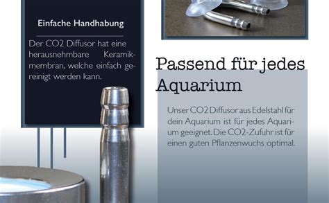 Rebely Co Diffusor Aus Edelstahl F R Dein Aquarium Mit Saugn Pfen