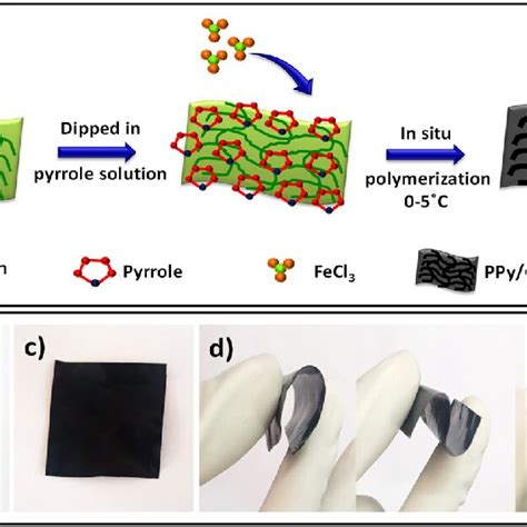 A Schematic Diagram Of The Fabrication Of The Ppy Cs Hybrid Film