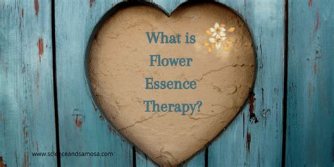 What Is Flower Essence Therapy Science And Samosa