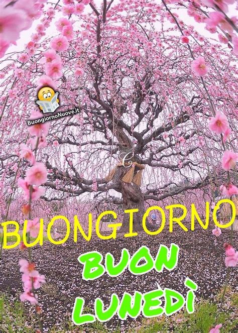 Buon Lunedì primaverile