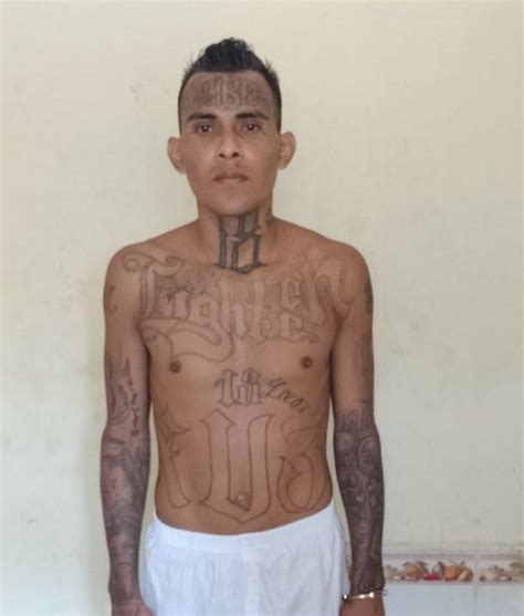 El Salvador Capturan A Dos Pandilleros De La 18 Y Uno De La MS13