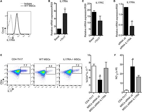 Frontiers Il17il17ra As A Novel Signaling Axis Driving Mesenchymal