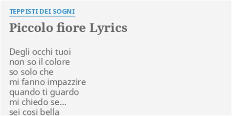 PICCOLO FIORE LYRICS By TEPPISTI DEI SOGNI Degli Occhi Tuoi Non