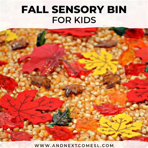 Easy Fall Sensory Bin | And Next Comes L - Hyperlexia Resources