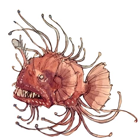 #lanternfish on Tumblr