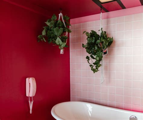 Plant Decor Ideas For Your Bathroom – Pick A Bathroom